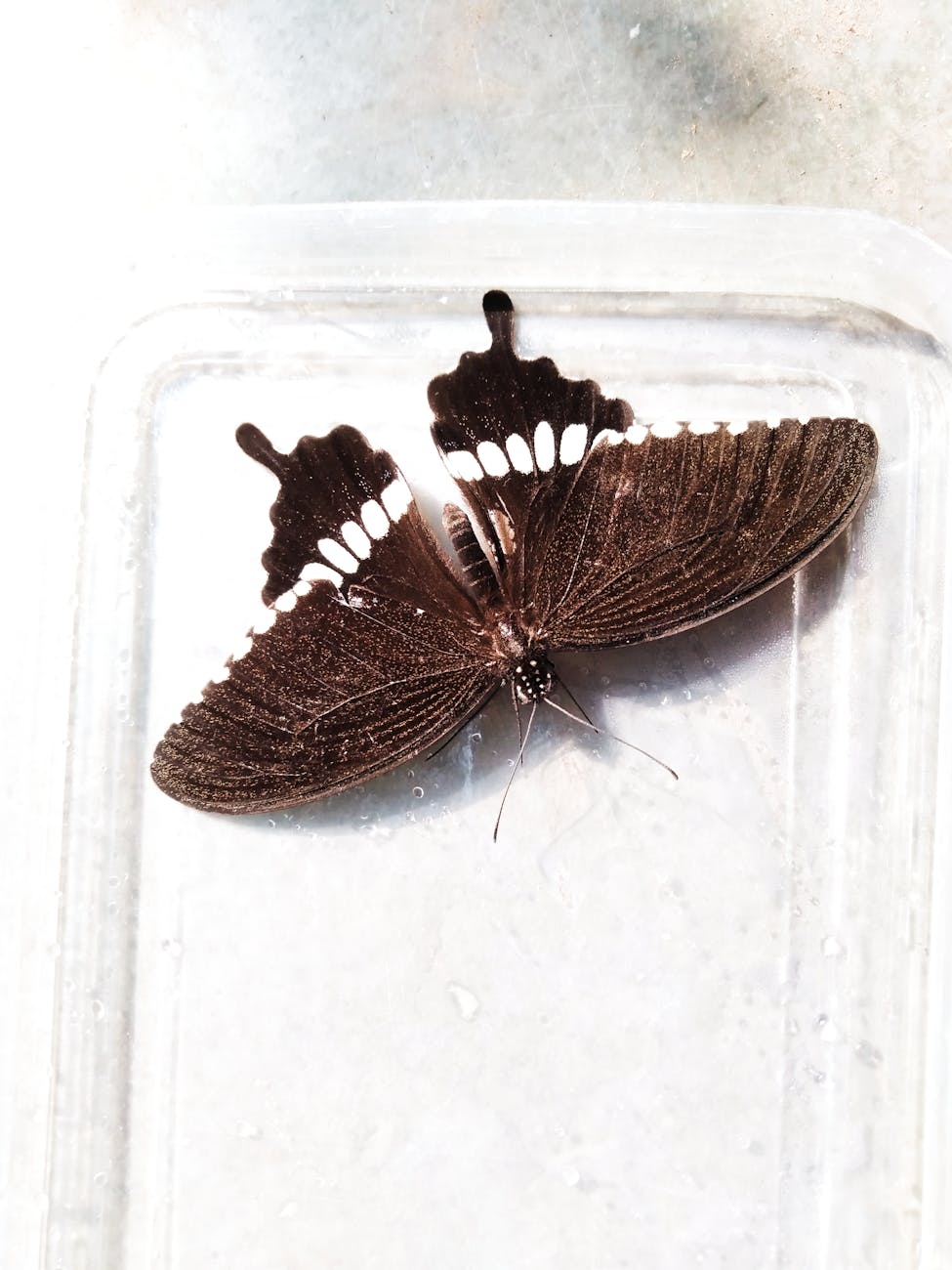 How to Get Clients for Your Precision Sheet Metal Business