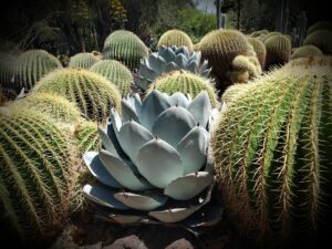 Local Search Industry Logo Design Ideas