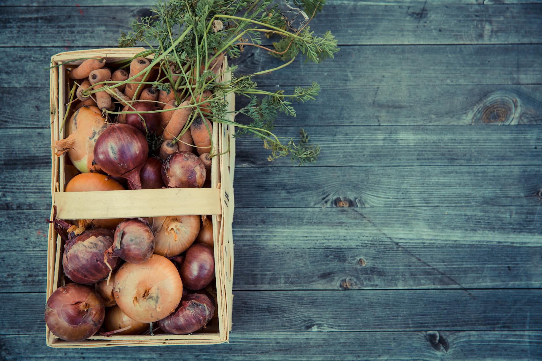 Organic Grocery Industry Logo Design Ideas