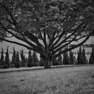 How to Get Clients for Your Environmental Conservation Business