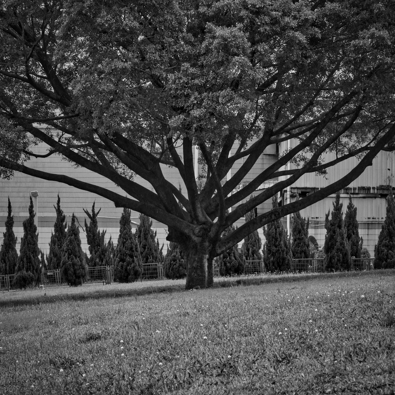 How to Get Clients for Your Environmental Conservation Business