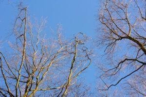 Packaging Industry Logo Design Ideas