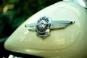 How to Create Classic Film Style Logo