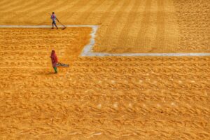 How to Create Agricultural Soil Testing Industry Logo