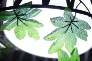 How to Create Roll-Off Dumpster Industry Logo