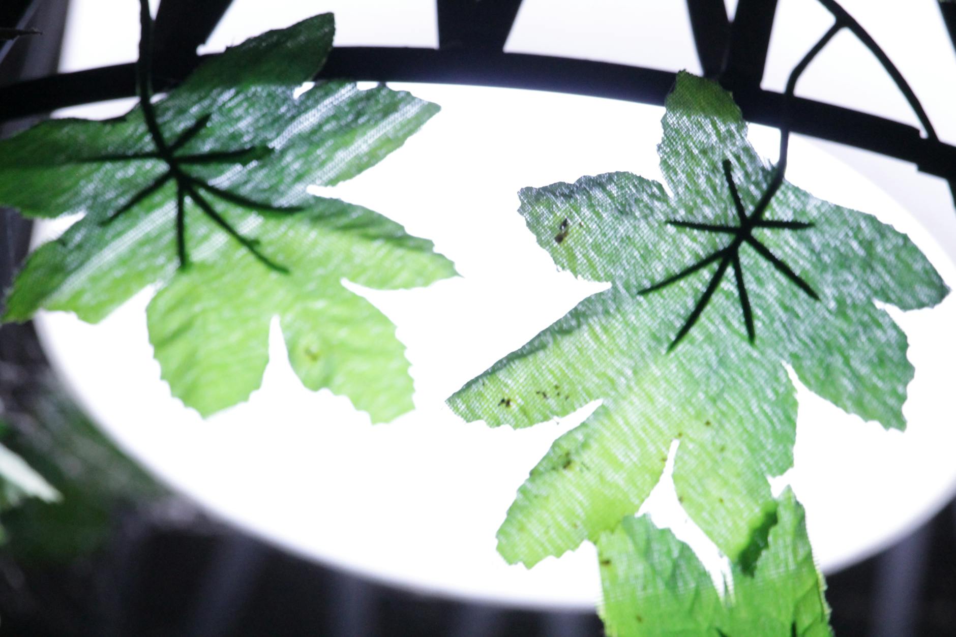 How to Create Roll-Off Dumpster Industry Logo