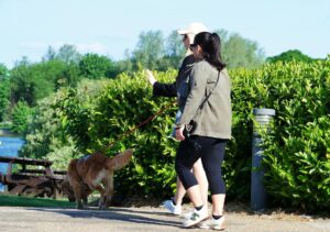 How to Create Rheumatology Research Industry Logo