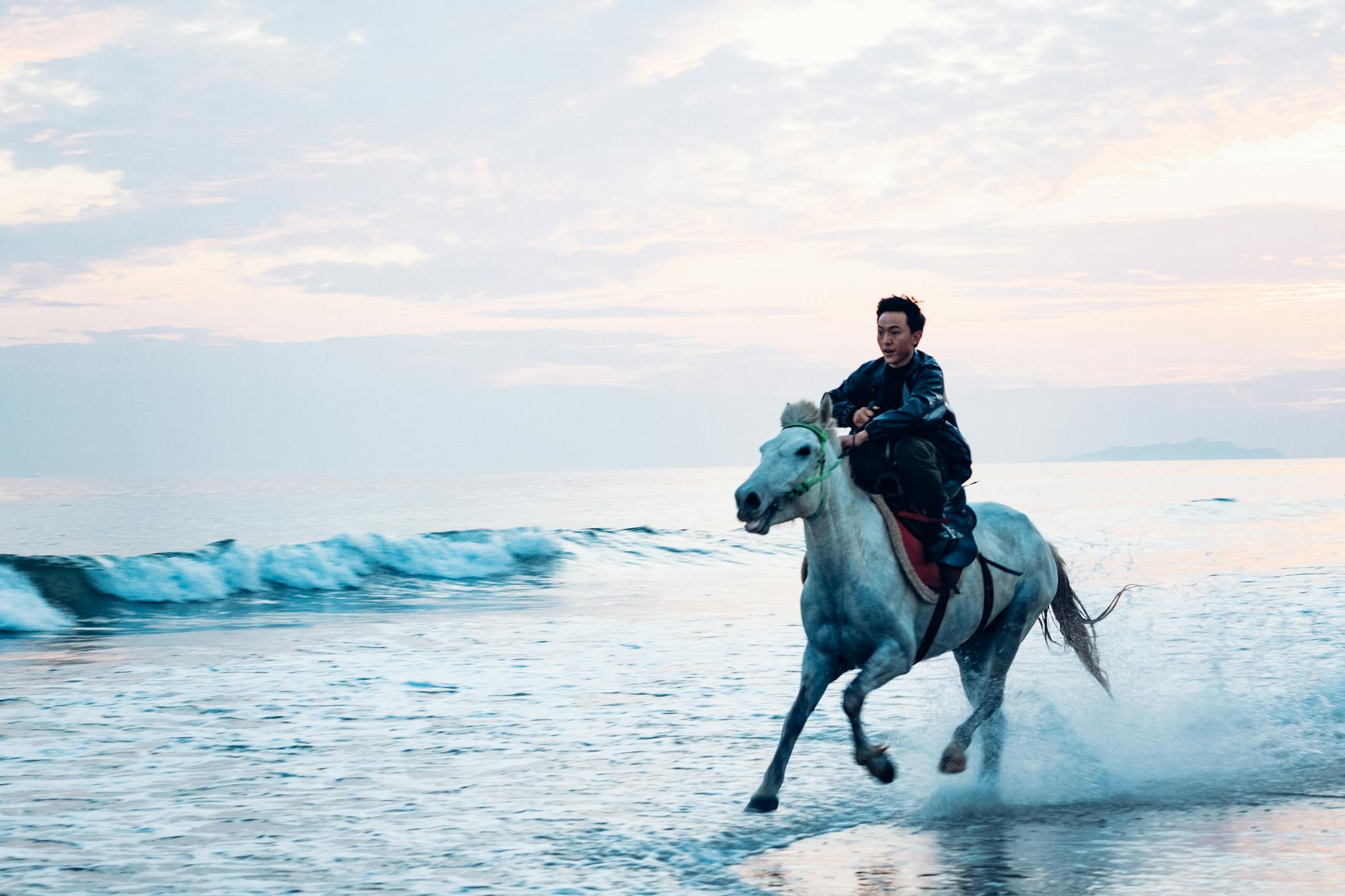 How to Get Clients for Your Therapeutic Riding Business