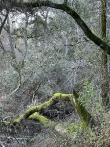 How to Create Deconstructivism Style Logo