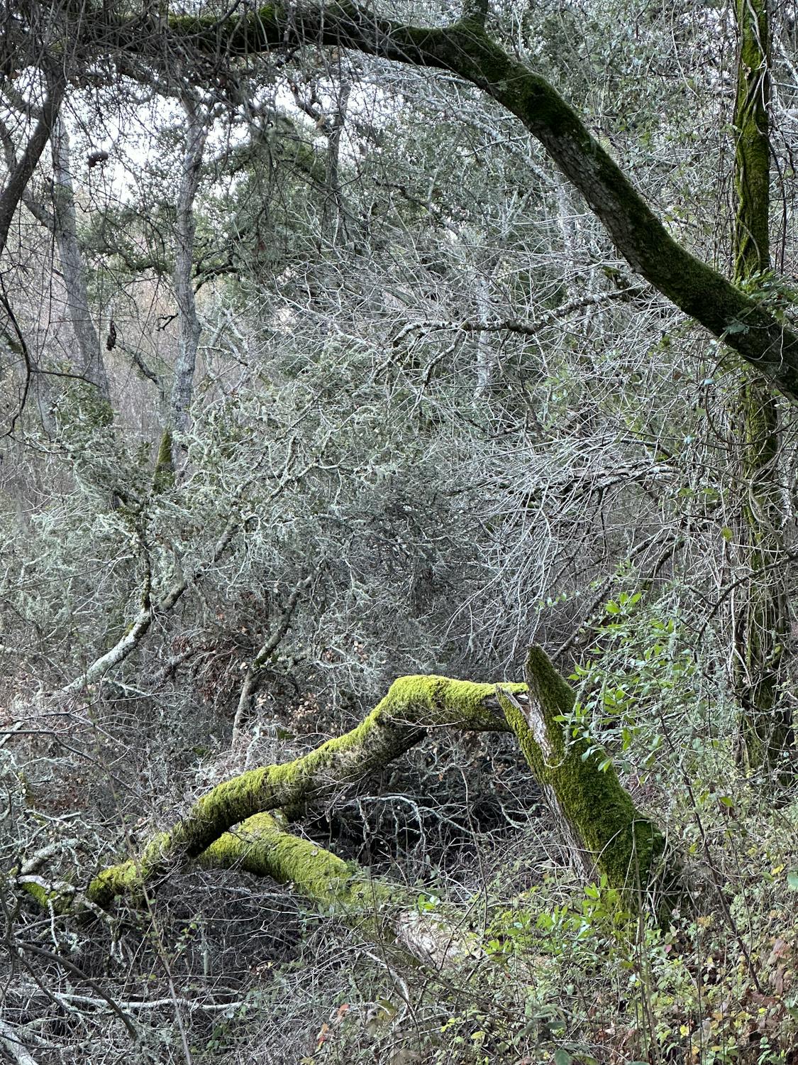 How to Create Deconstructivism Style Logo