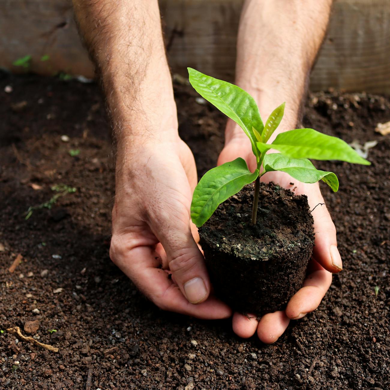 Eco-Friendly Living Fair Event Logo Design Ideas
