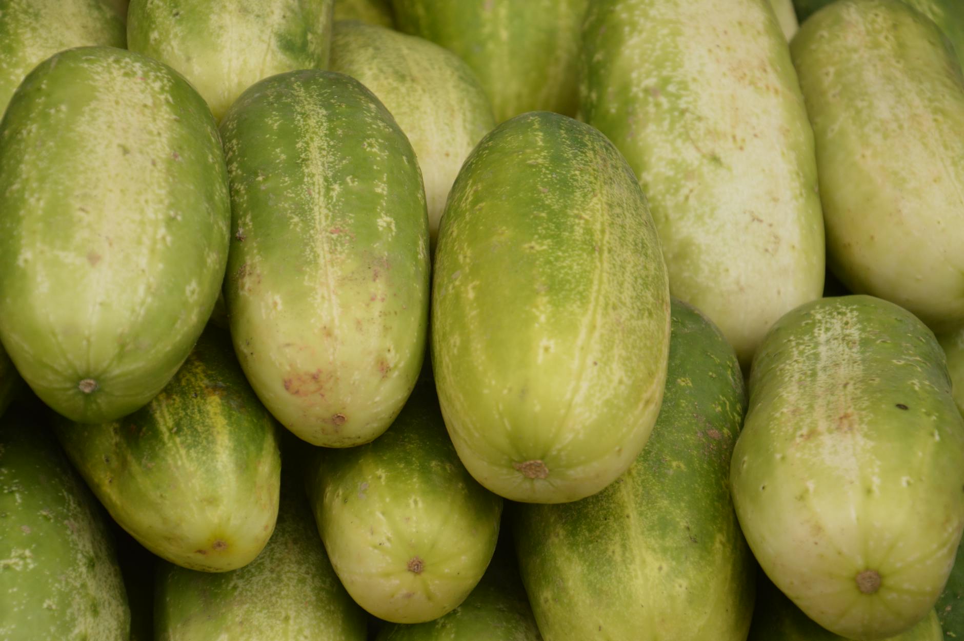 How to Get Clients for Your Bulk Salad Dressing Business