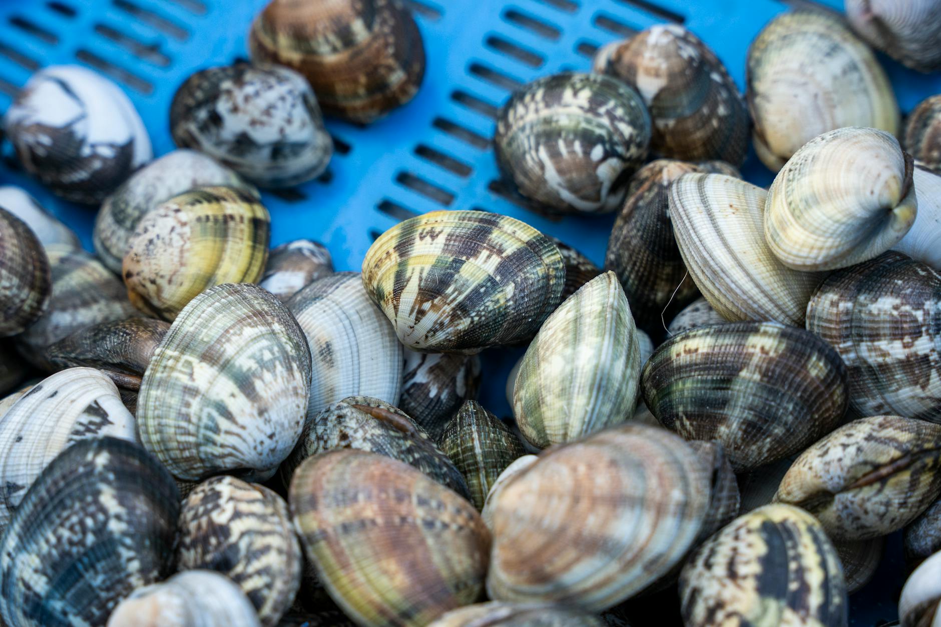 How to Get Clients for Your Shellfish Aquaculture Business