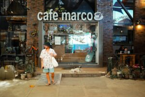 Dog Walking Industry Logo Design Ideas