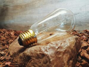 Eco-Friendly Lifestyle Showcase Event Logo Design Ideas