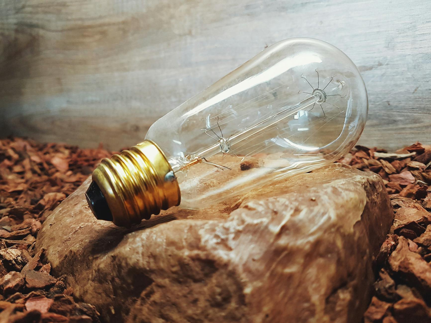 Eco-Friendly Lifestyle Showcase Event Logo Design Ideas