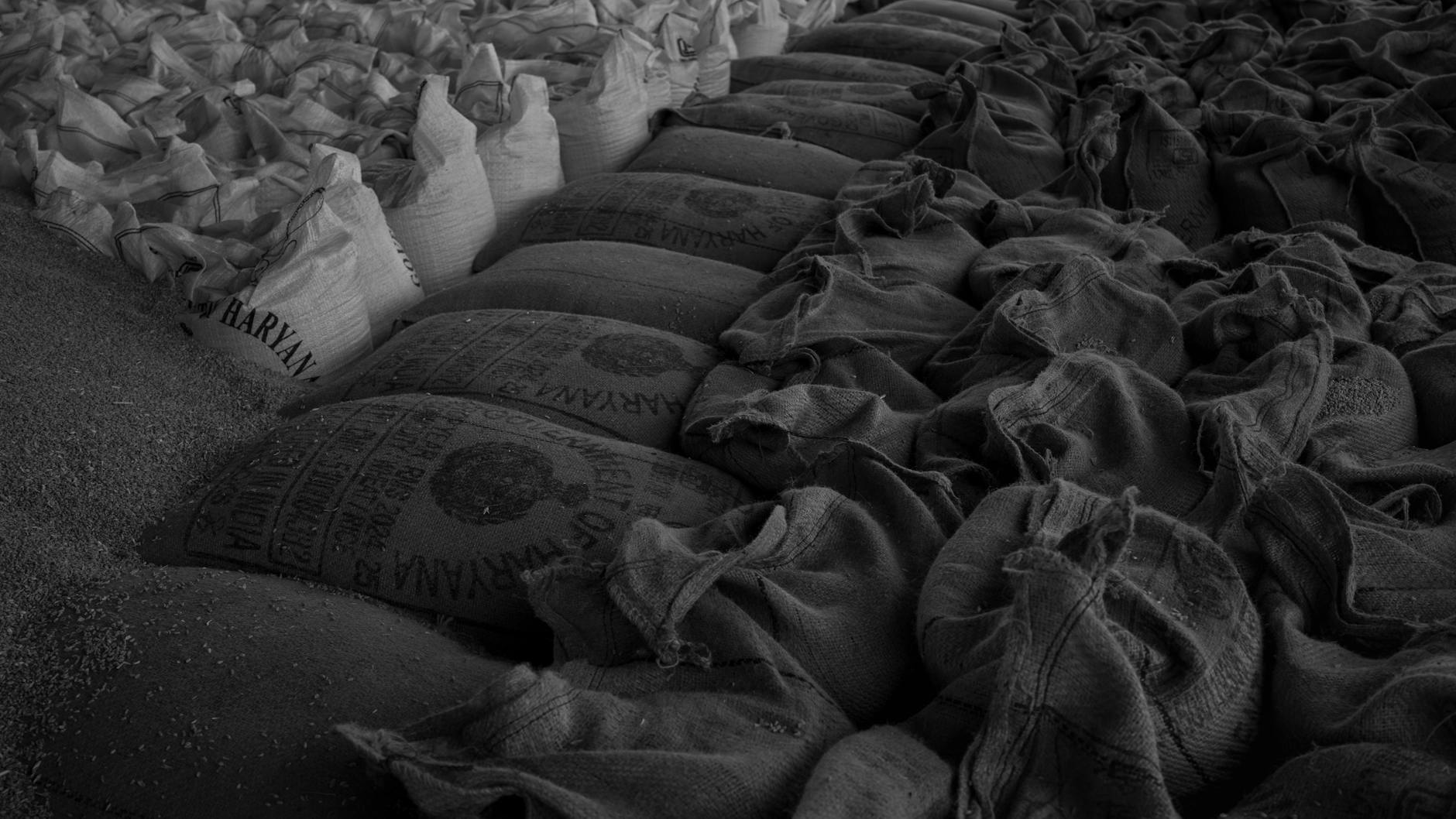 How to Get Clients for Your Bulk Commodities Business