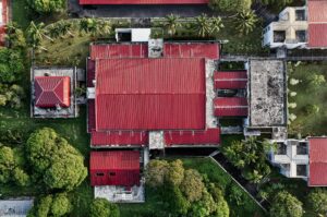 How to Create Community Gardening Day Event Logo