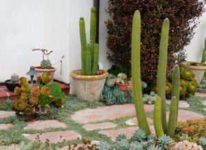 Sustainable Landscaping Industry Logo Design Ideas