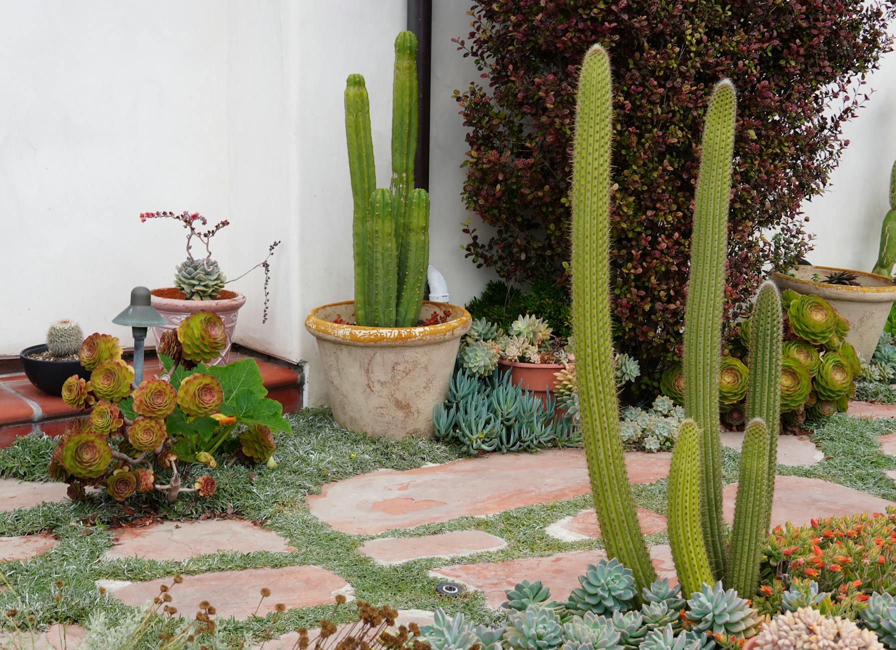 Sustainable Landscaping Industry Logo Design Ideas