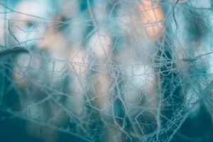 How to Create Organic Frozen Pizza Industry Logo