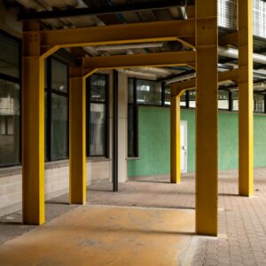 24/7 Veterinary Support Industry Logo Design Ideas