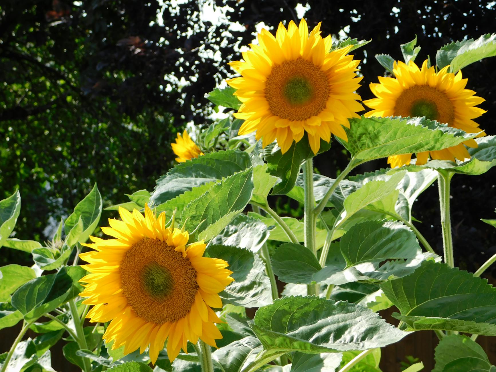 How to Get Clients for Your Hardwood Lumber Business