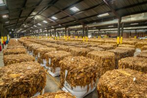 How to Get Clients for Your Tobacco Leaf Business