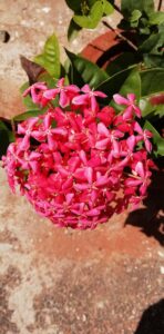 How to Create Outdoor Cooking Equipment Industry Logo