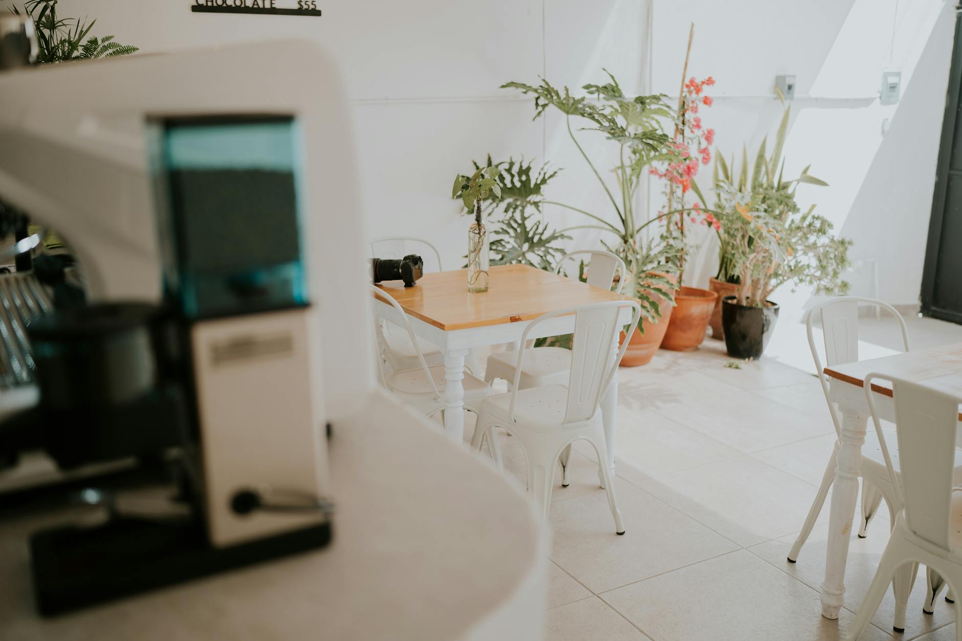 Lounge Bar Industry Logo Design Ideas