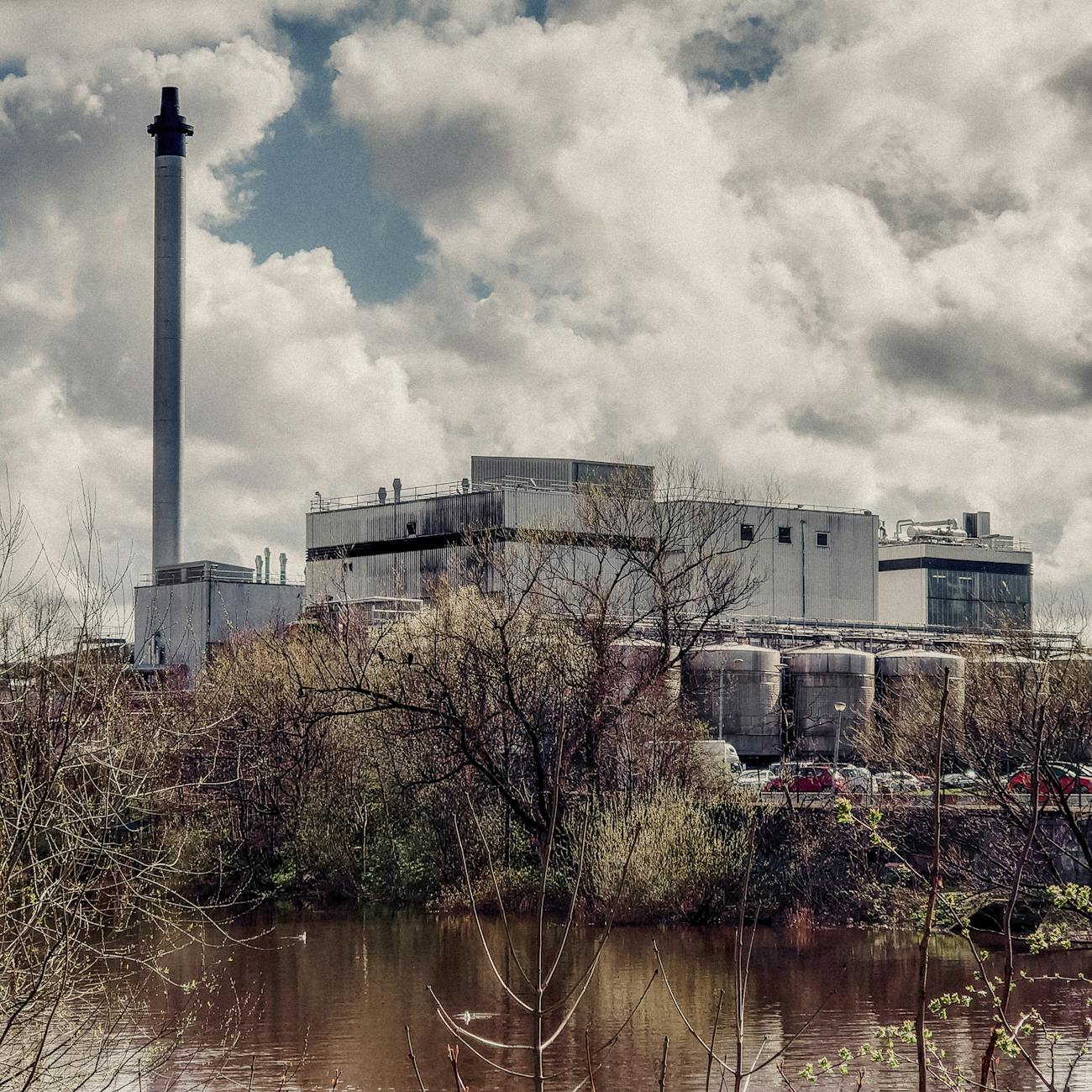 How to Create Livestock Processing Industry Logo