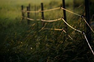 How to Create Lottery Industry Logo