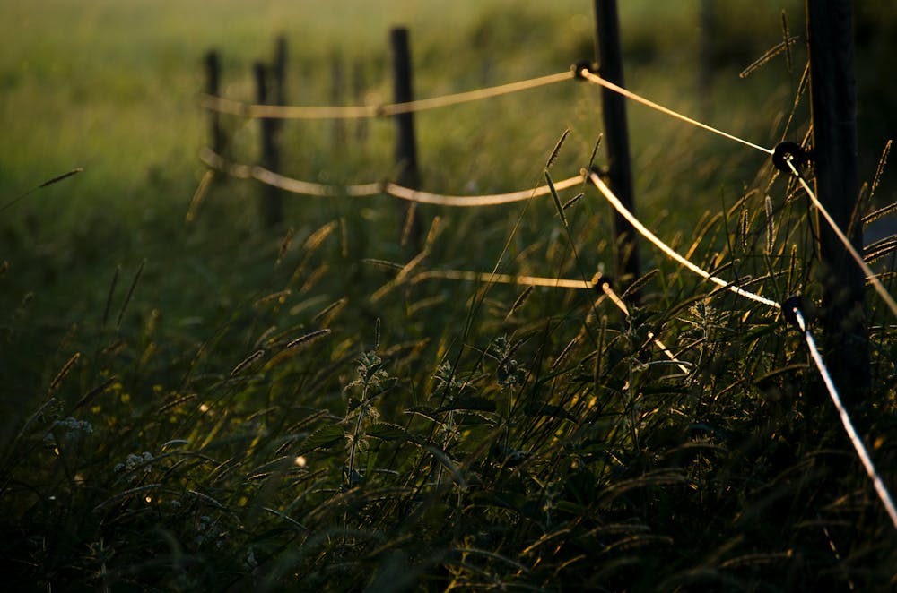 How to Create Lottery Industry Logo