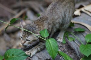 How to Get Clients for Your Skin Care Supplies Business