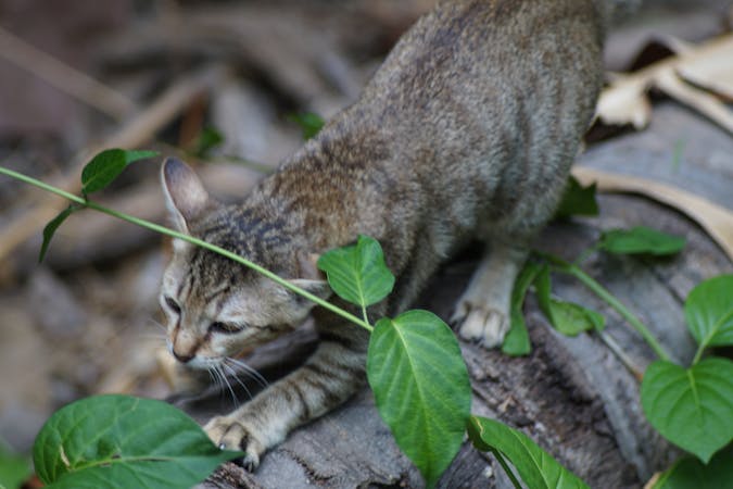 How to Get Clients for Your Skin Care Supplies Business