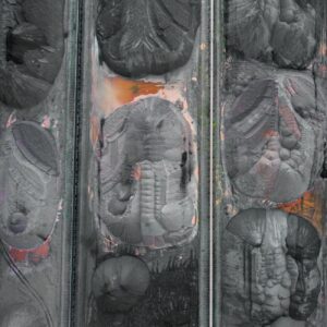 How to Get Clients for Your Environmental Washing Technology Business