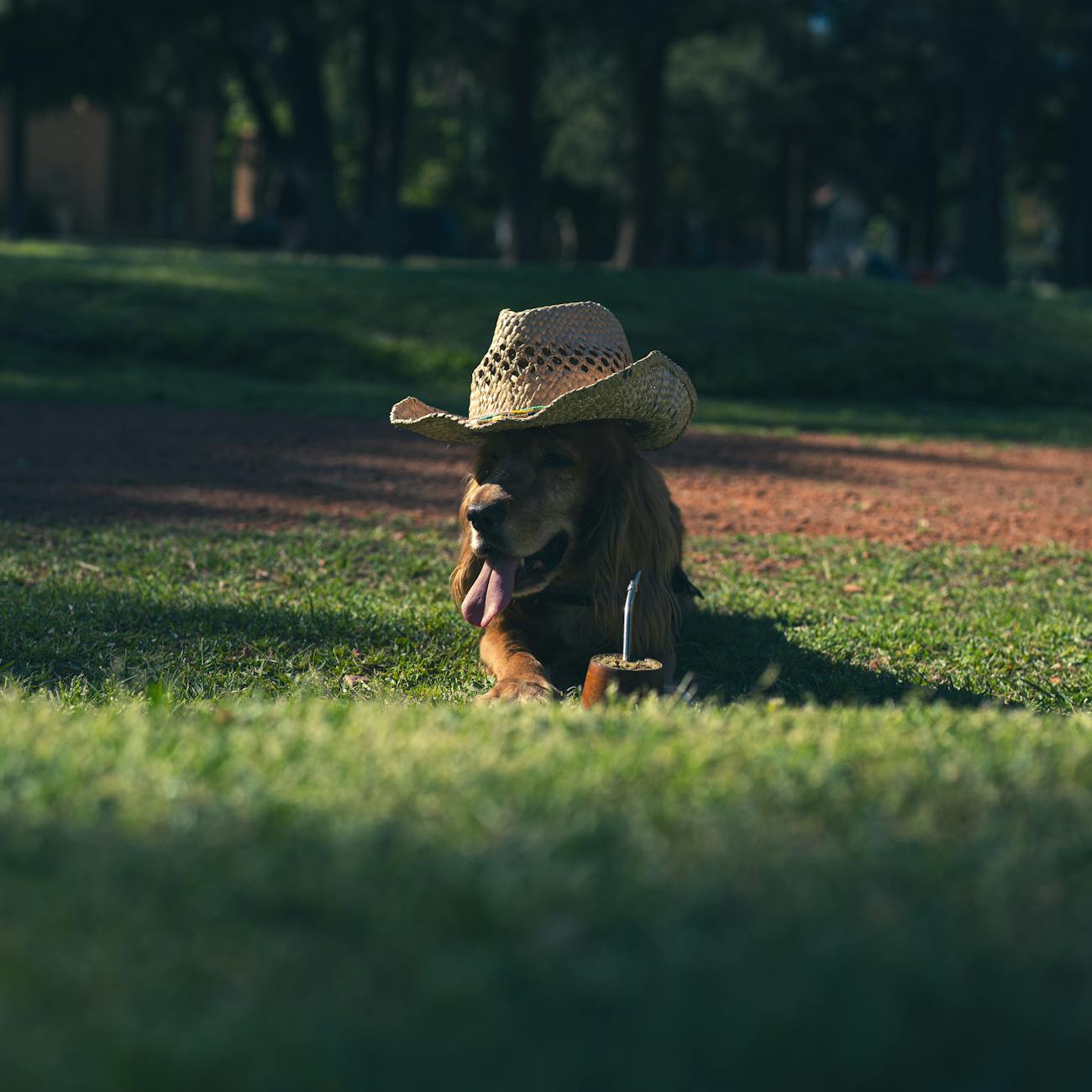 How to Get Clients for Your Private Dog Park Business
