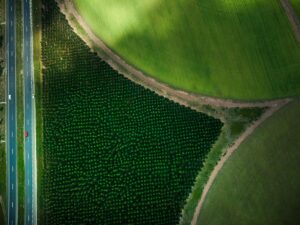 How to Create Agricultural Drone Industry Logo