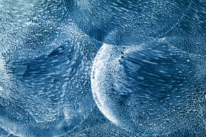 Organic Frozen Cake Industry Logo Design Ideas