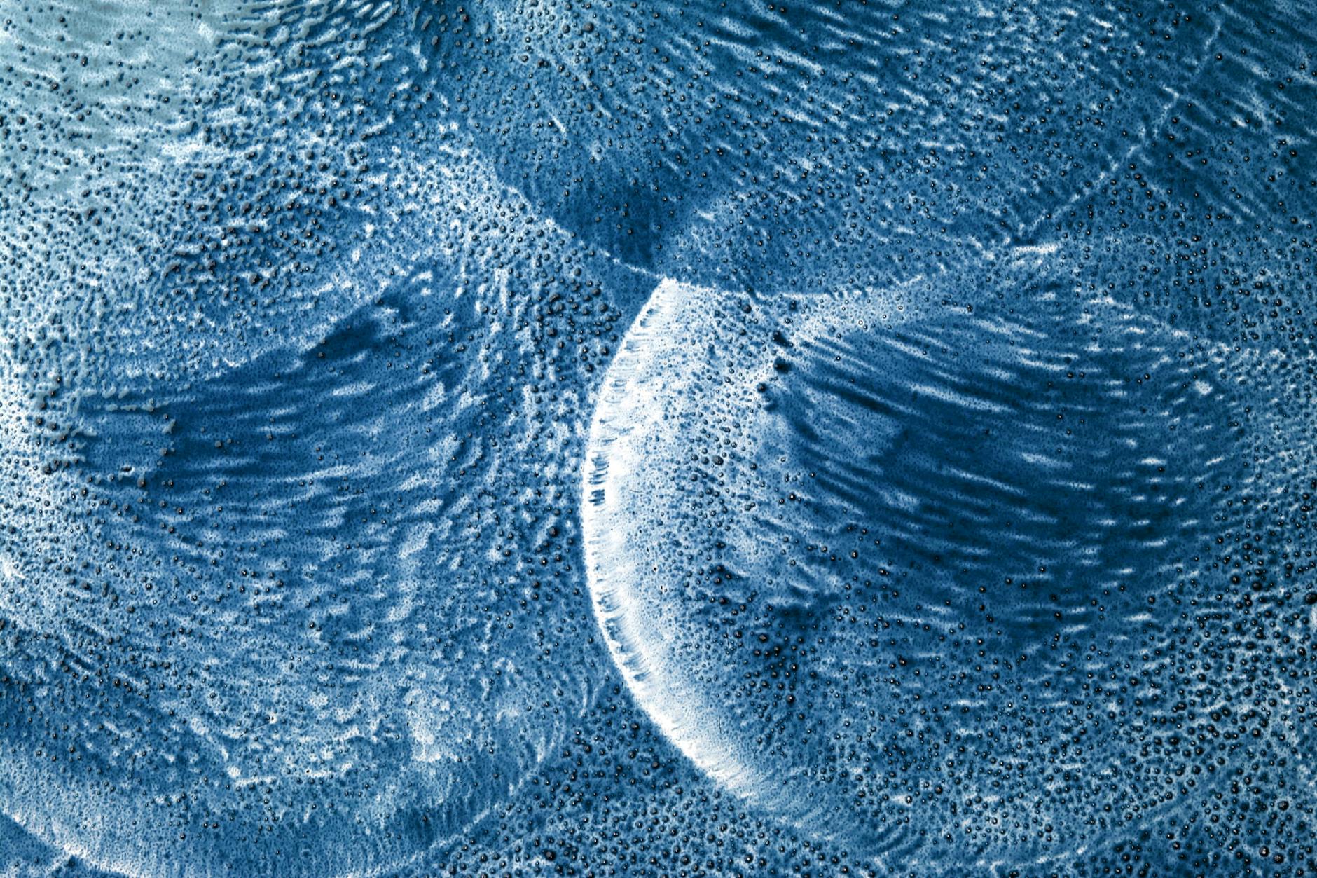 Organic Frozen Cake Industry Logo Design Ideas