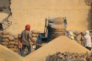 How to Get Clients for Your Grain Processing Business