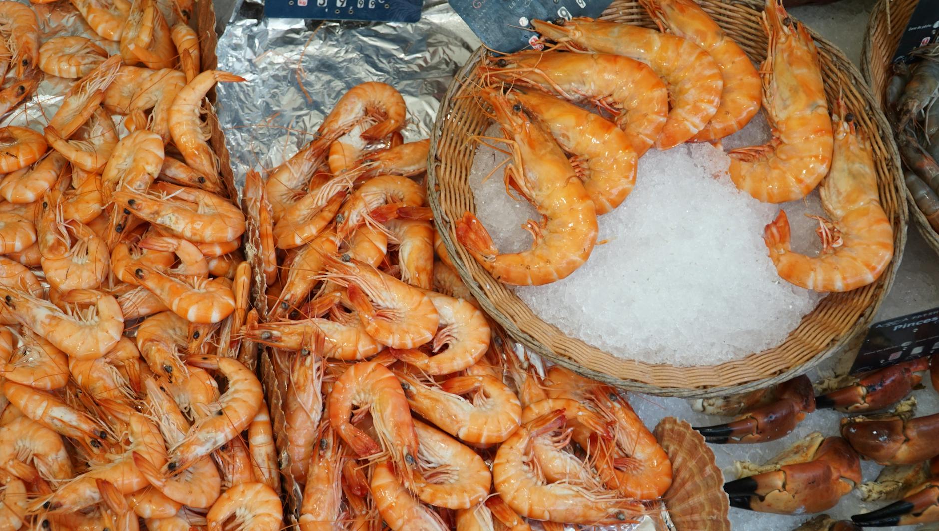 How to Get Clients for Your Greek Seafood Business