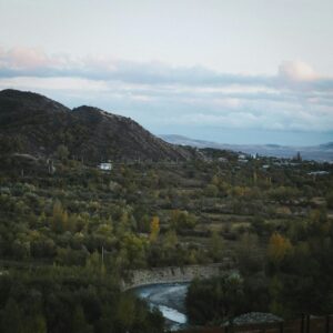 How to Get Clients for Your Landscape Plants Business