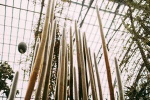 How to Get Clients for Your Greenhouse Business