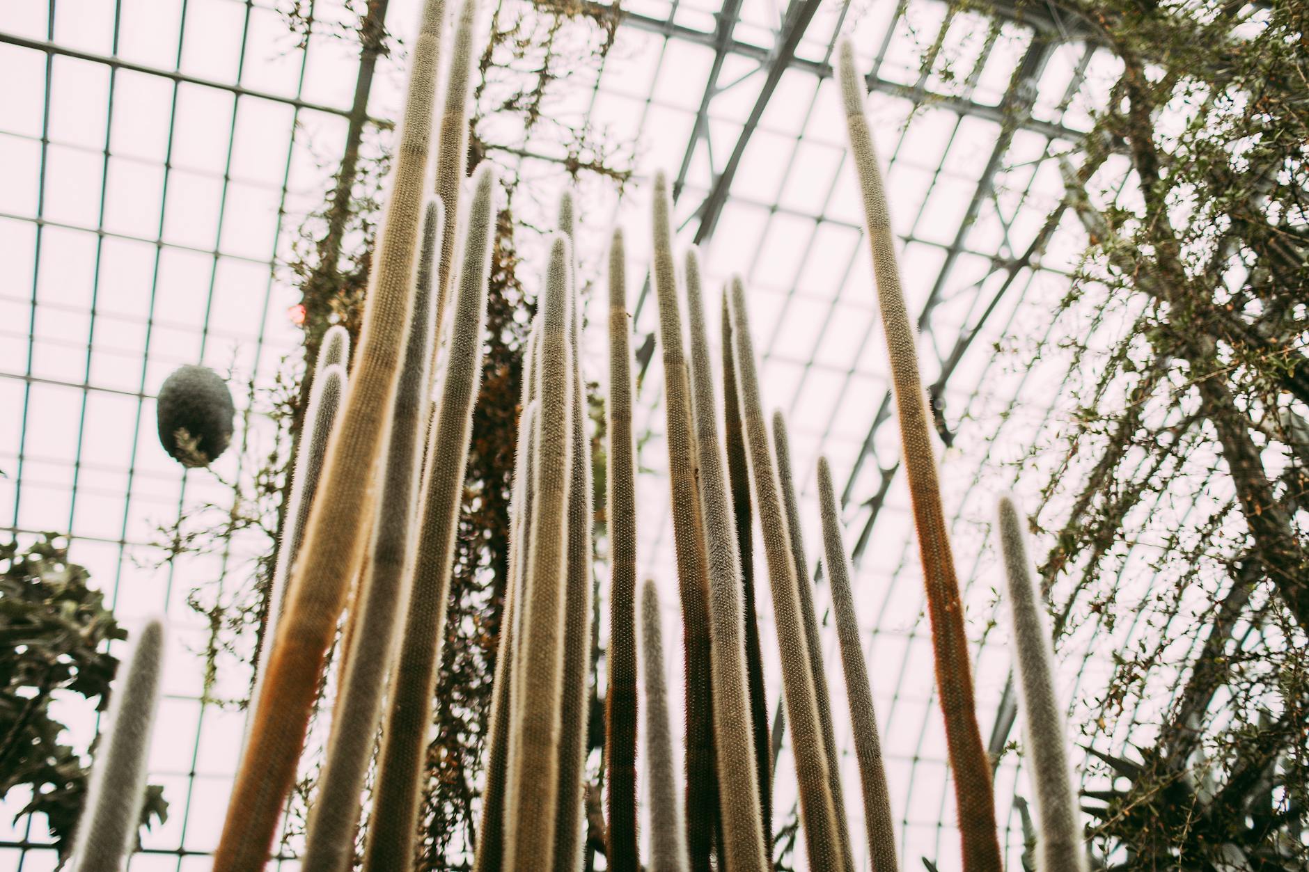 How to Get Clients for Your Greenhouse Business