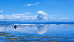 Outbound Travel Insurance Industry Logo Design Ideas