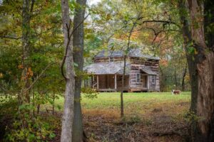 How to Get Clients for Your Timber Procurement Business