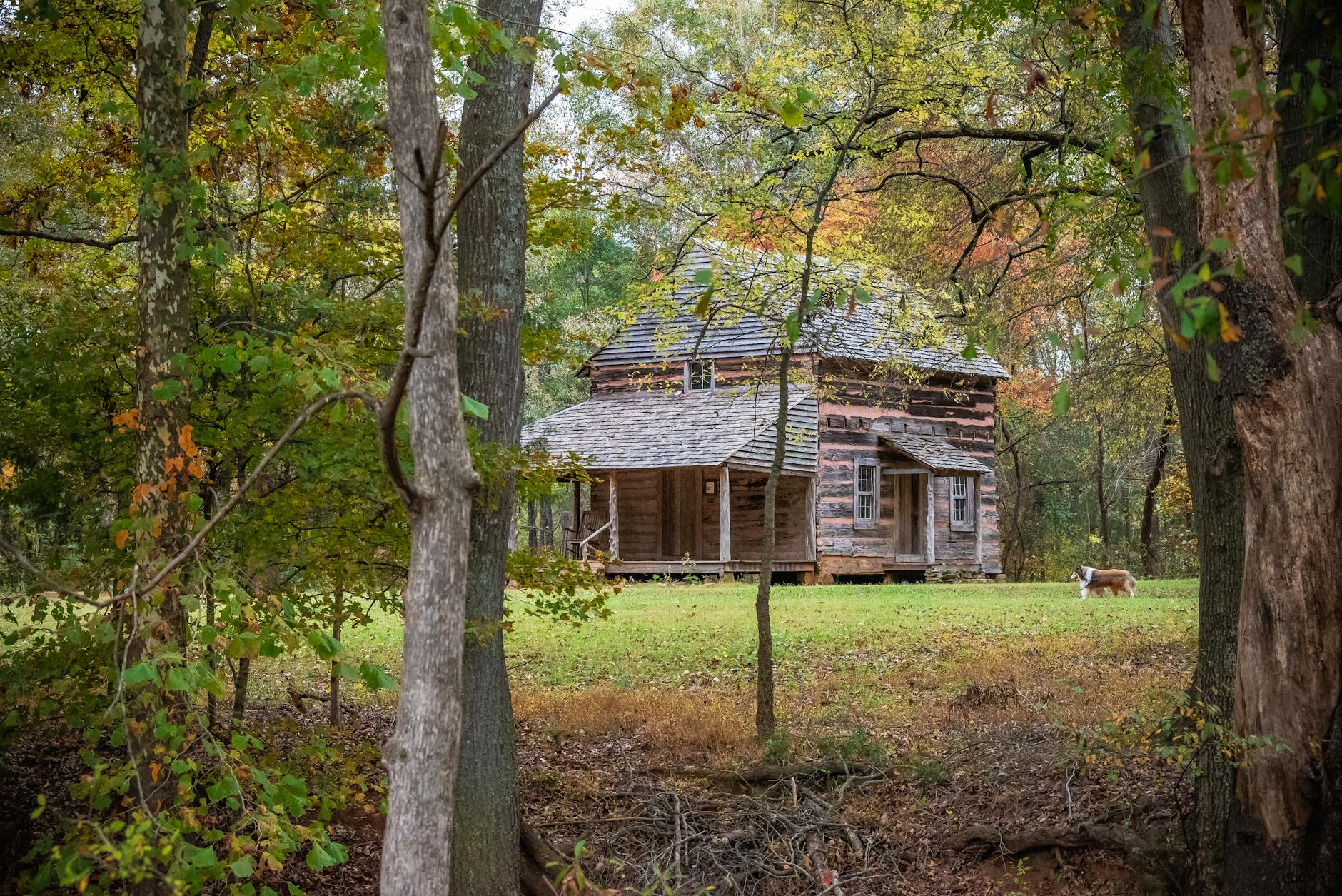 How to Get Clients for Your Timber Procurement Business