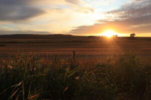 How to Get Clients for Your Agricultural Weather Advisory Business