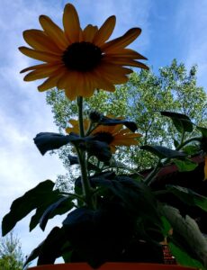 How to Create Charity Industry Logo